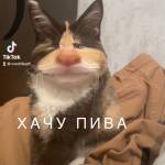 Игорь Рыжий