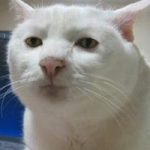 Дмитрий Внук