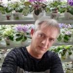 Андрей Кошелев