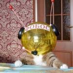 Александр Лопорт