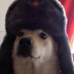 Илья Андреев