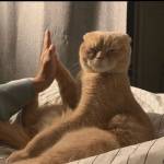 Василий Милый