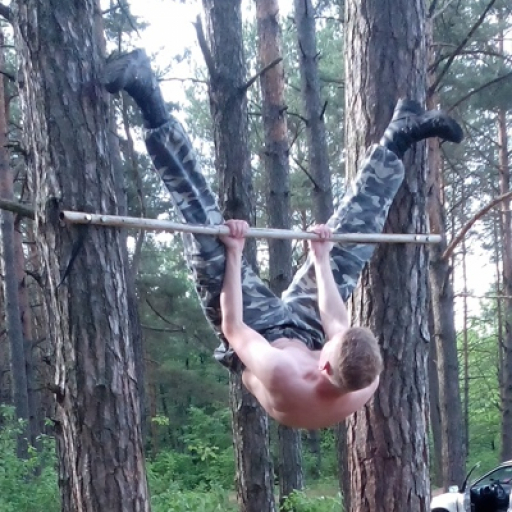 Владимир Вольнир