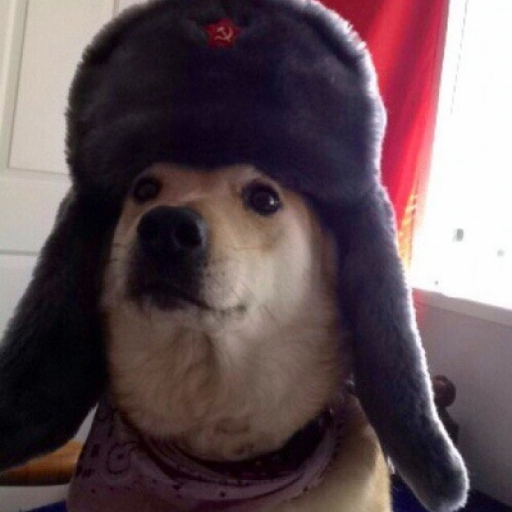 Александр Александров