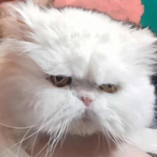 Виктор Латынцев