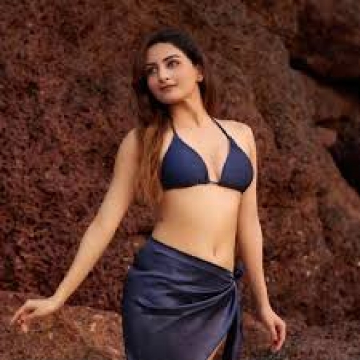 Udaipur Escort