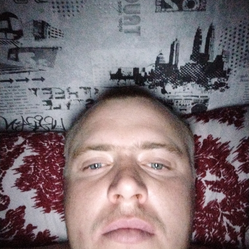 Дмитрий Романенко