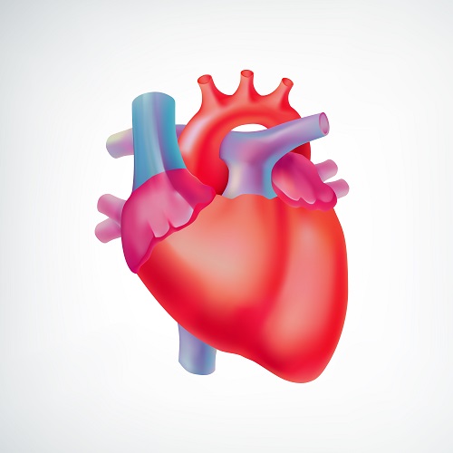 Best Cardiology/Heart Hospital in Jaipur - Rungta Hospital