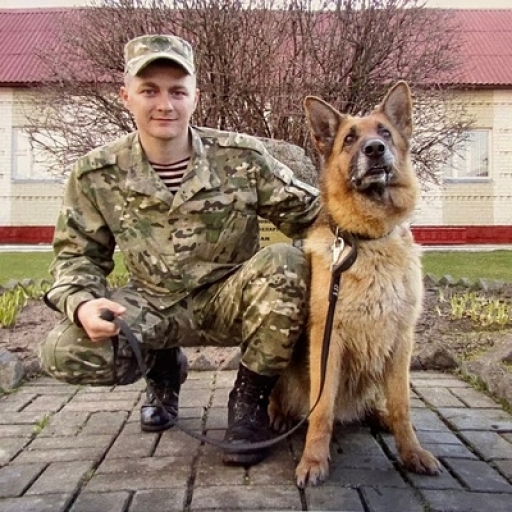 Евгений Бордовский
