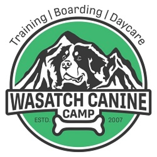 wasatchcanine camp