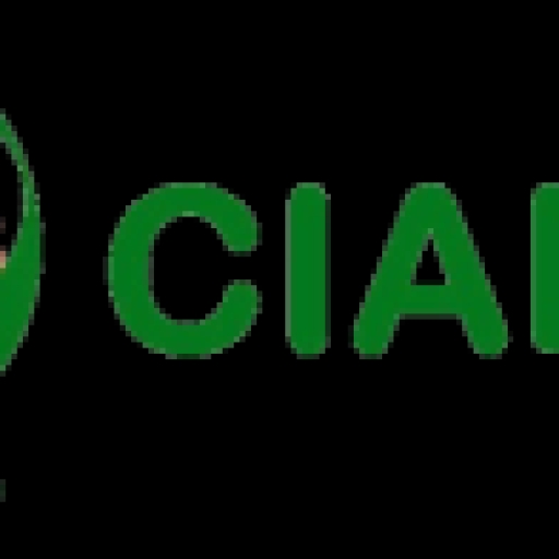Cialis UAE
