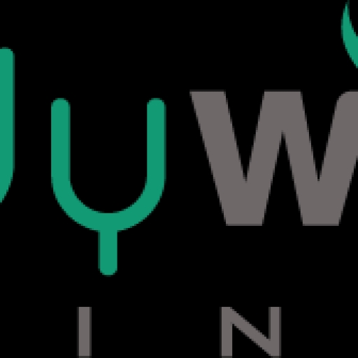 Bodywise Training