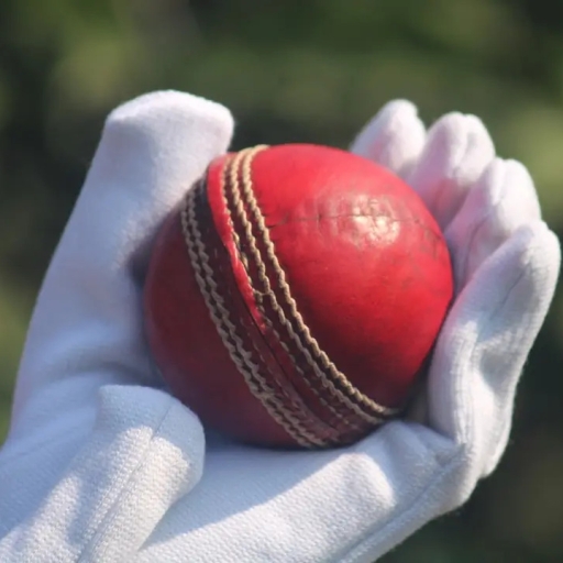 T20 live